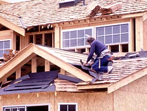 carpenter on roof